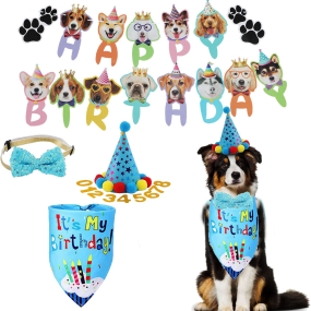 Dog Birthday Set Manufacturer - Best-Selling Cotton Triangle Scarf