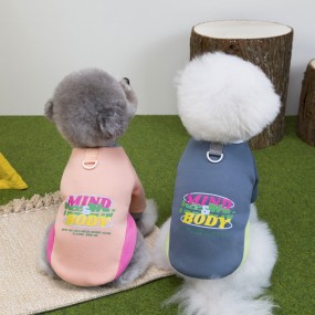 Pet Winter Clothes Supplier - Eco-Friendly Teddy Bear Two-Piece