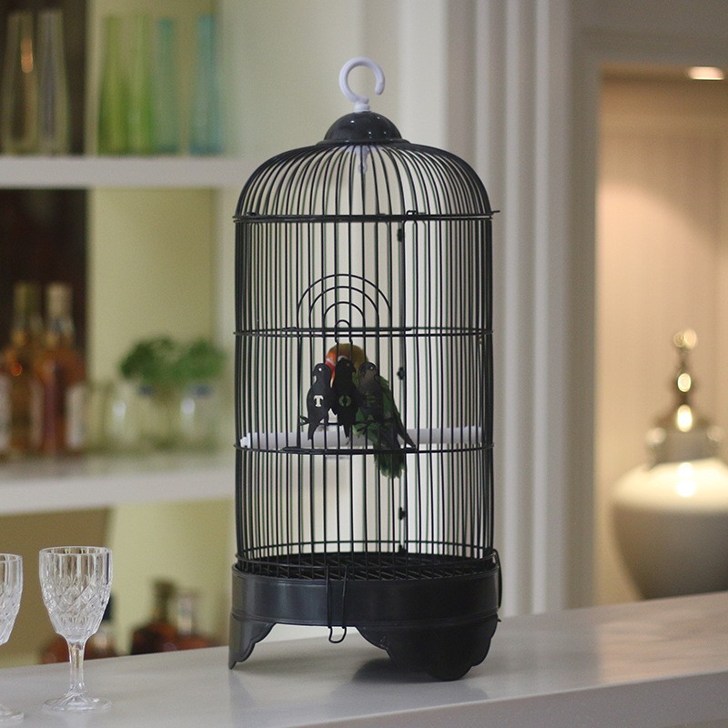 Bird Cage Manufacturer - Wholesale Hot Sale Small Dome