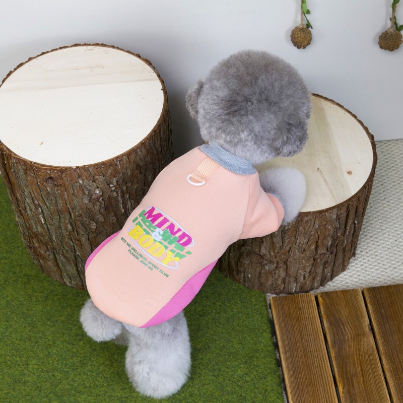 Pet Winter Clothes Supplier - Eco-Friendly Teddy Bear Two-Piece