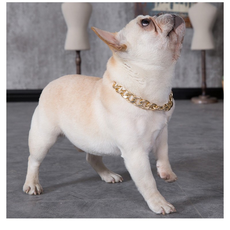 Dog Collar Manufacturer - Teddy Fighting Gold PU Necklace
