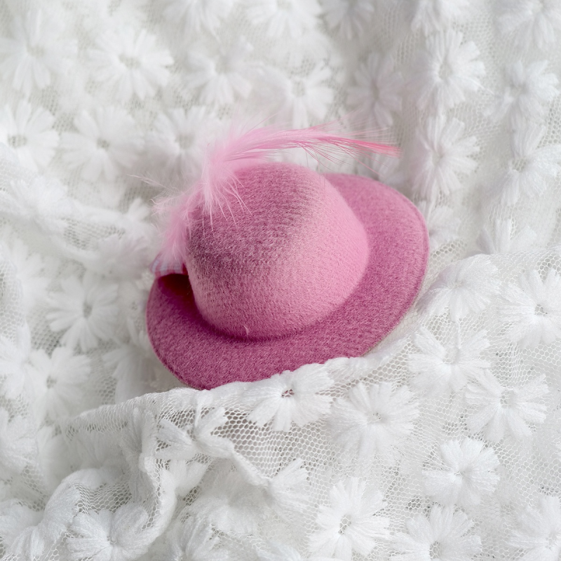 Pet Hair Clip Factory - Solid Pattern Plastic Headwear