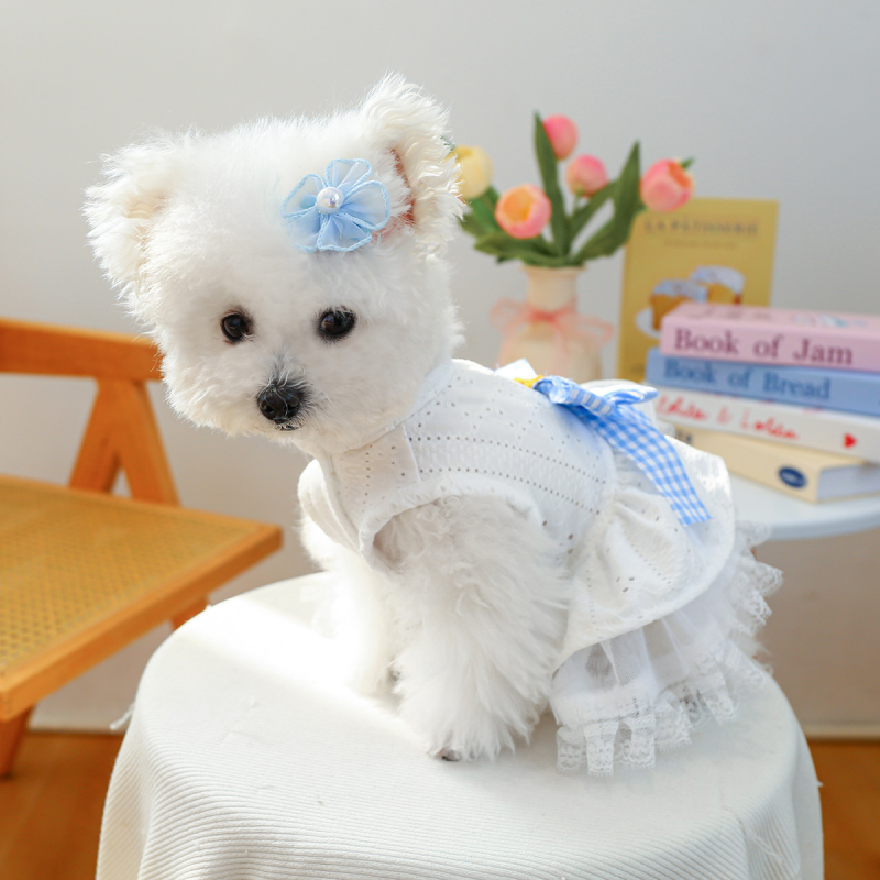 Pet Tutu Skirt Factory - Spring Summer Sea Salt Blue Gauze