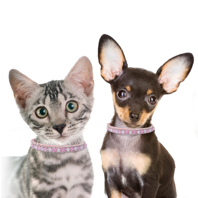 Pet Collar Supplier - Sweet Style Pink Leash Spring Summer