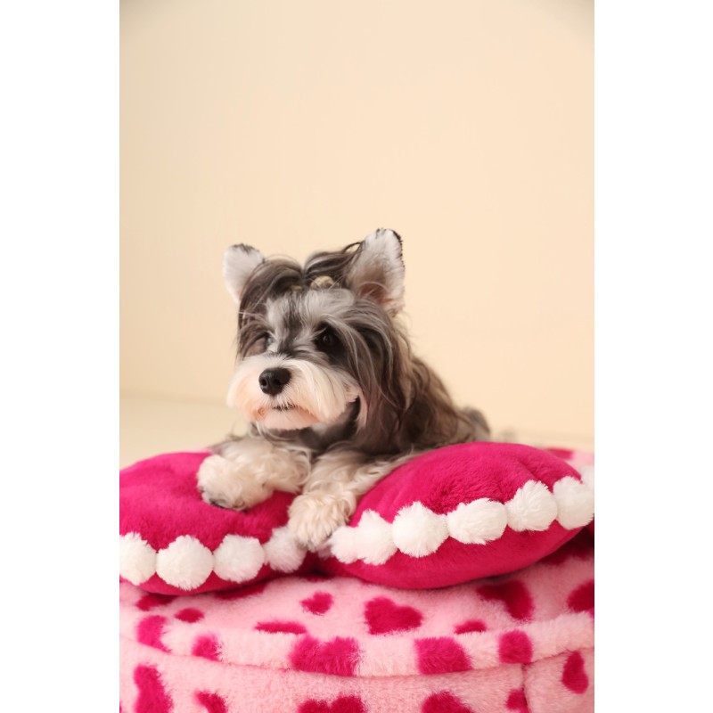 Pet Mat Supplier - Four Seasons Large Washable Disassemblable