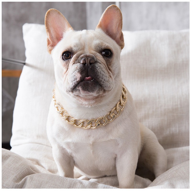 Dog Collar Manufacturer - Teddy Fighting Gold PU Necklace