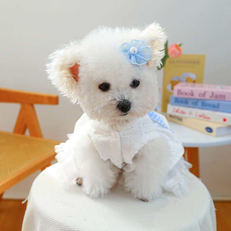 Pet Tutu Skirt Factory - Spring Summer Sea Salt Blue Gauze