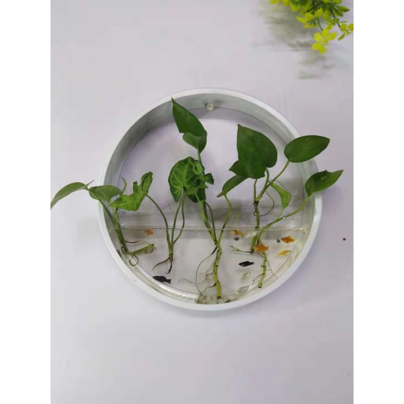 Silicone Tableware Set Supplier - 8 Piece Classic Children Dining