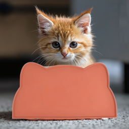 Feeding Mat Manufacturer - Modern Waterproof Non-Slip Silicone