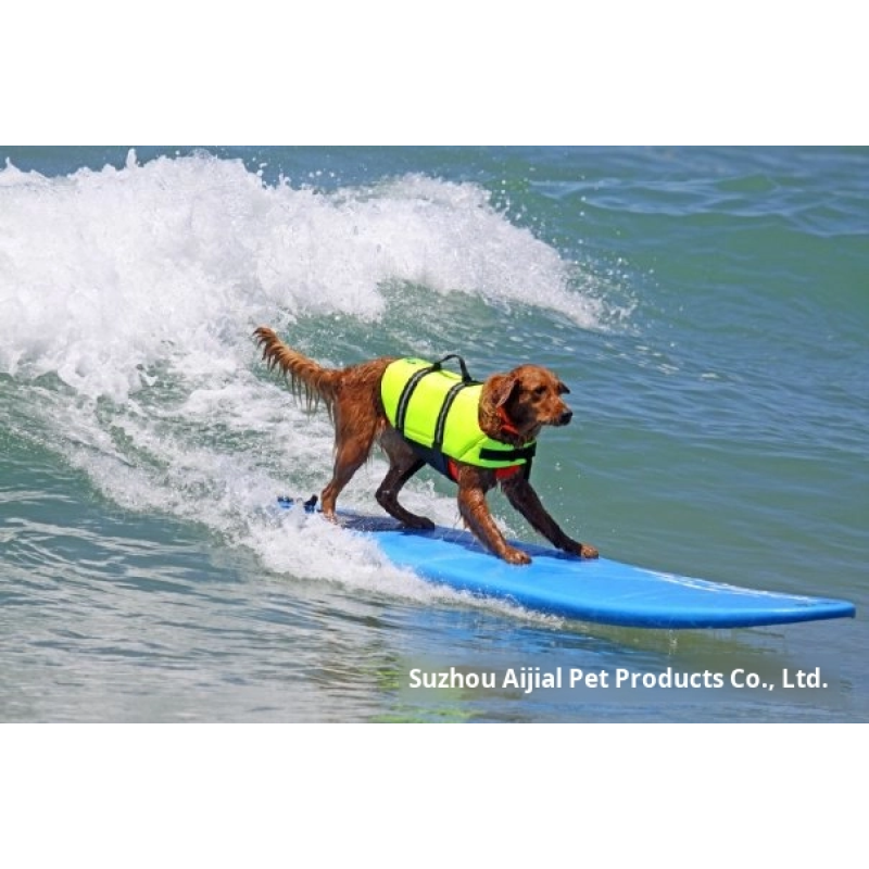 Pet Life Jacket Factory - Outdoor Safety Swimming Vest for Pool Training