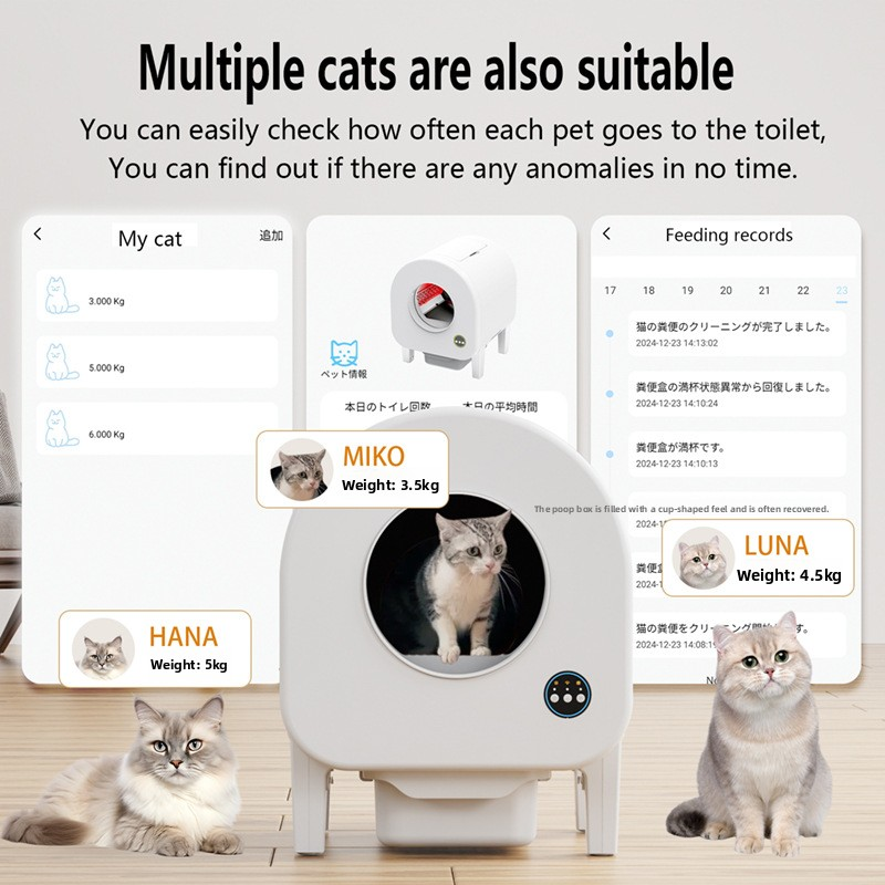 Smart Litter Box Factory - Low Noise with Odor Control Video Monitoring Self Cleaning