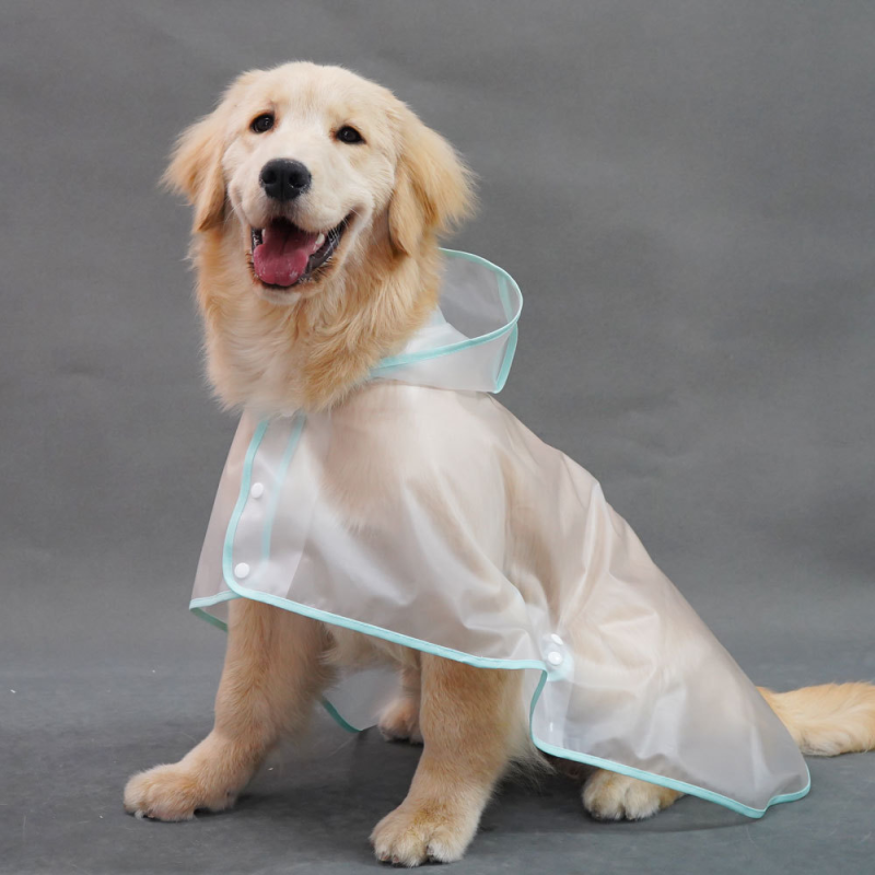 Dog Raincoat Supplier - TPU Material Large Waterproof Cape for Outdoor