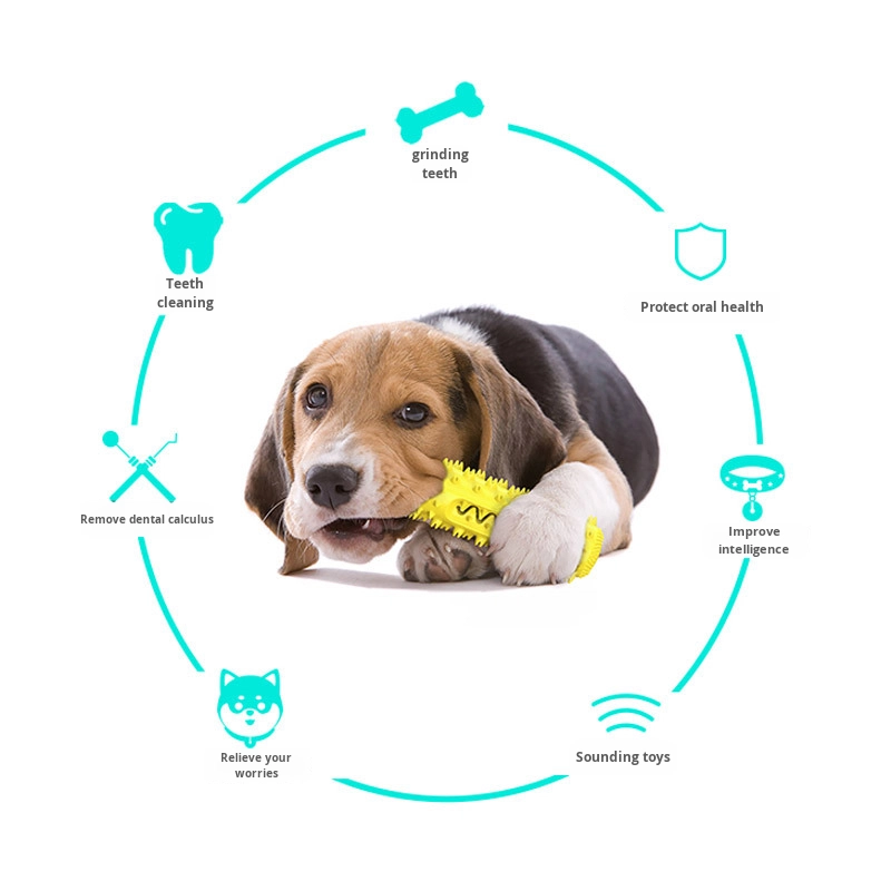 Toothbrush Toy Manufacturer - Hot-Selling TPR Sound Saw-Tooth Treat Dispensing