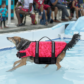 Pet Life Jacket Factory - Reflective Safety Swimming Vest for Beach Pool