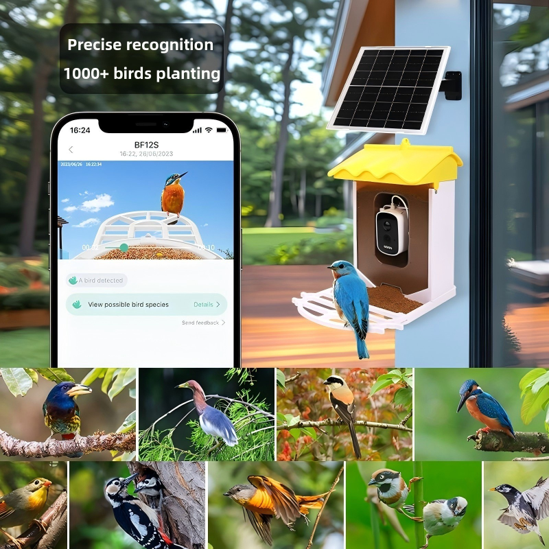 Bird Feeder Manufacturer - Solar Powered WiFi HD Camera Plastic Waterproof