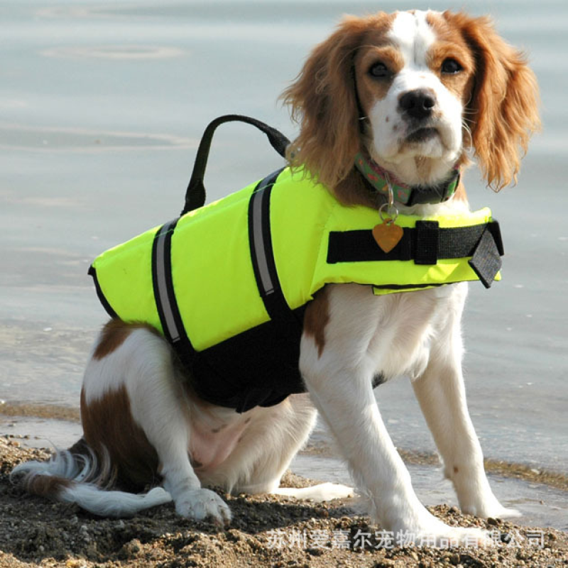 Pet Life Jacket Factory - Reflective Full Size Buoyancy Safety Vest