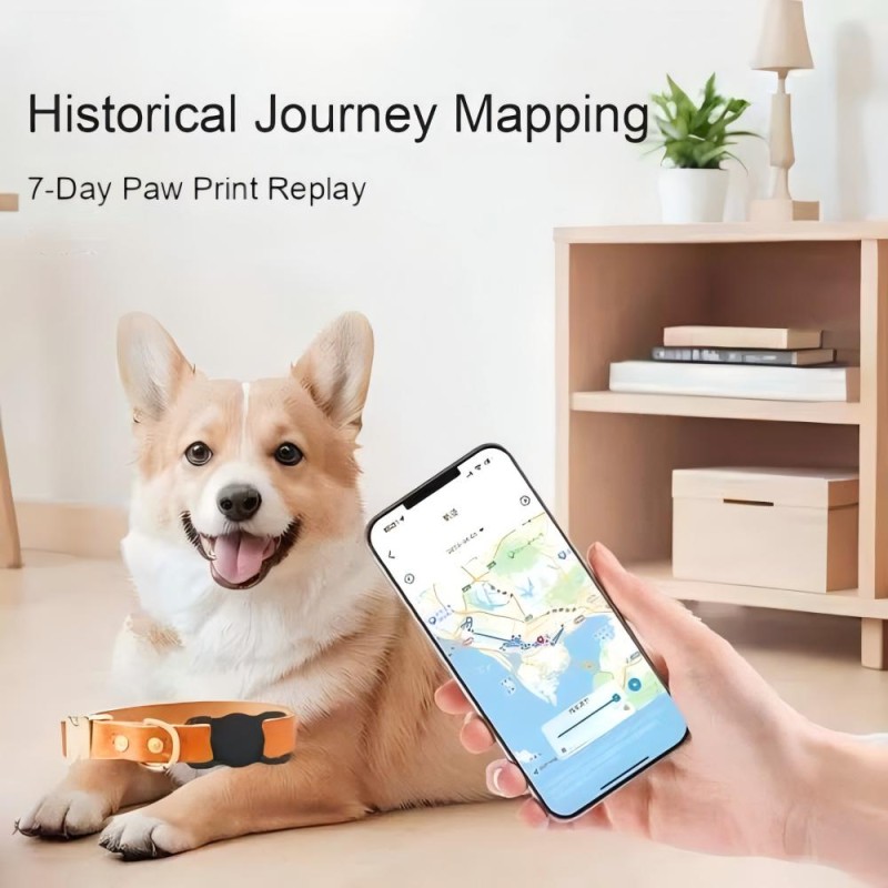 Wireless Pet Tracker Manufacturer - Global Portable Anti-Lost SmartTag Finder