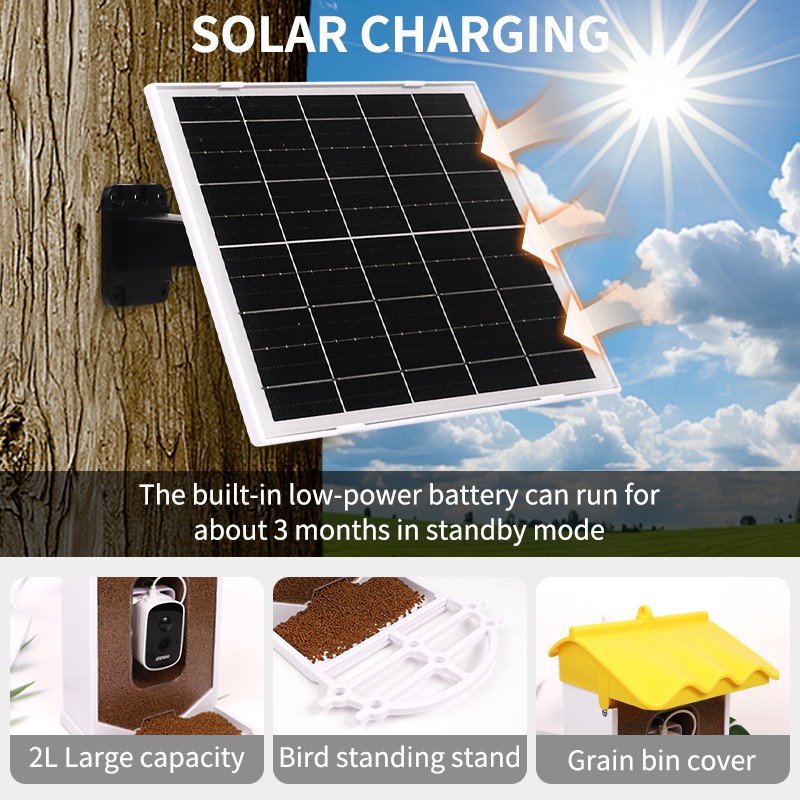 Solar Bird Feeder Factory - New Trend Squirrel Proof AI Recognizes Species