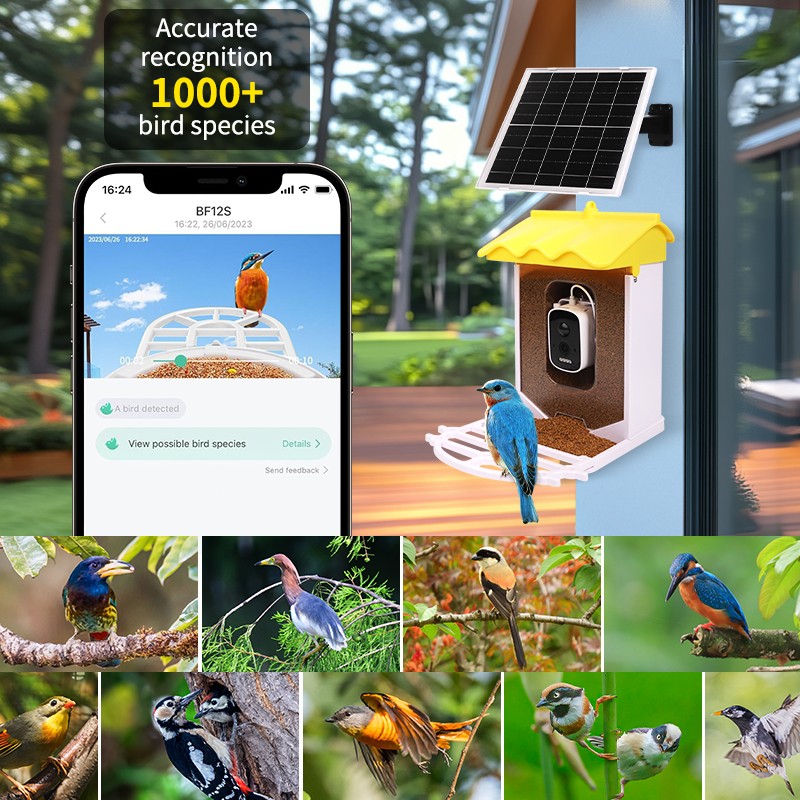 Smart Bird Feeder Supplier - With Camera AI Recognition Automatic Recording