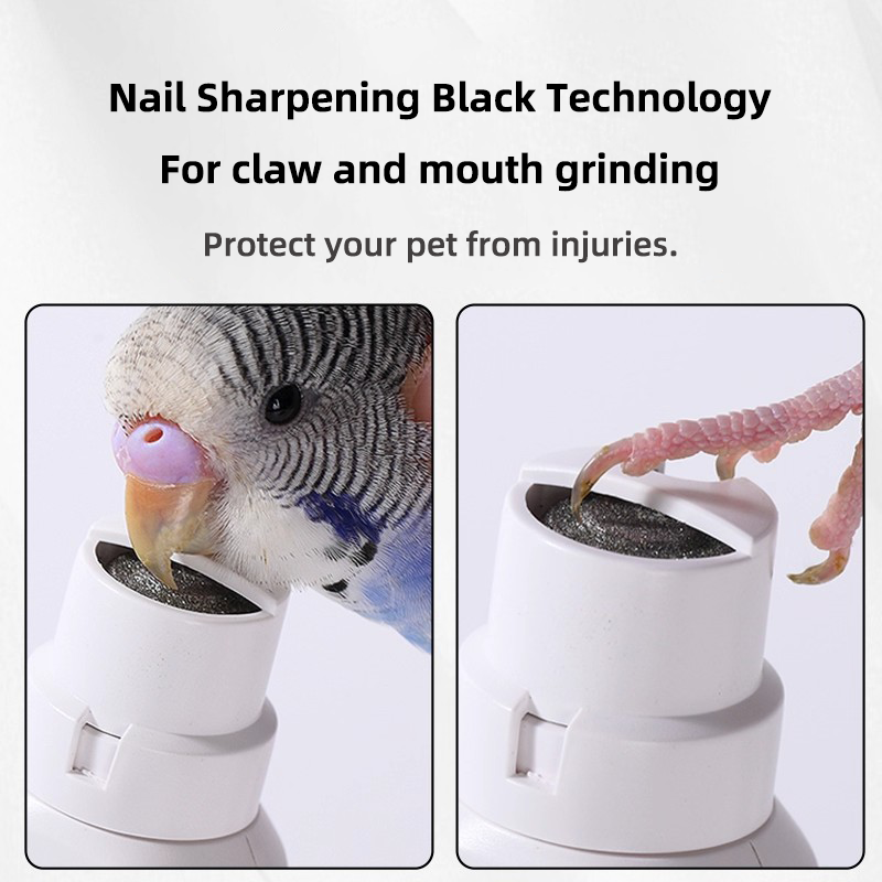 Bird Nail Grinder Manufacturer - Wholesale Electric Parrot Claw Beak Grinding Tool
