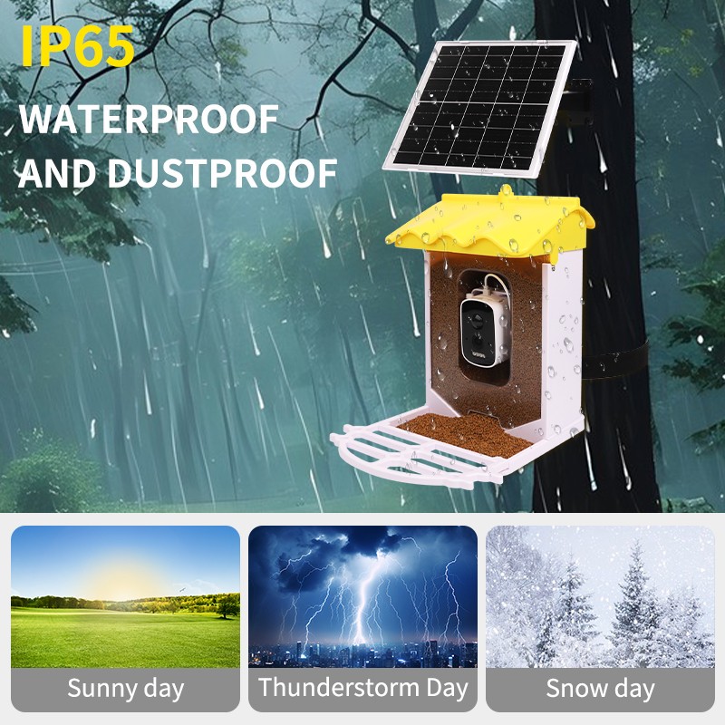 Solar Bird Feeder Factory - New Trend Squirrel Proof AI Recognizes Species