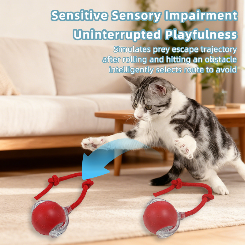 Smart Cat Toy Supplier - Wholesale Automatic Rolling Ball with Tail Rechargeable