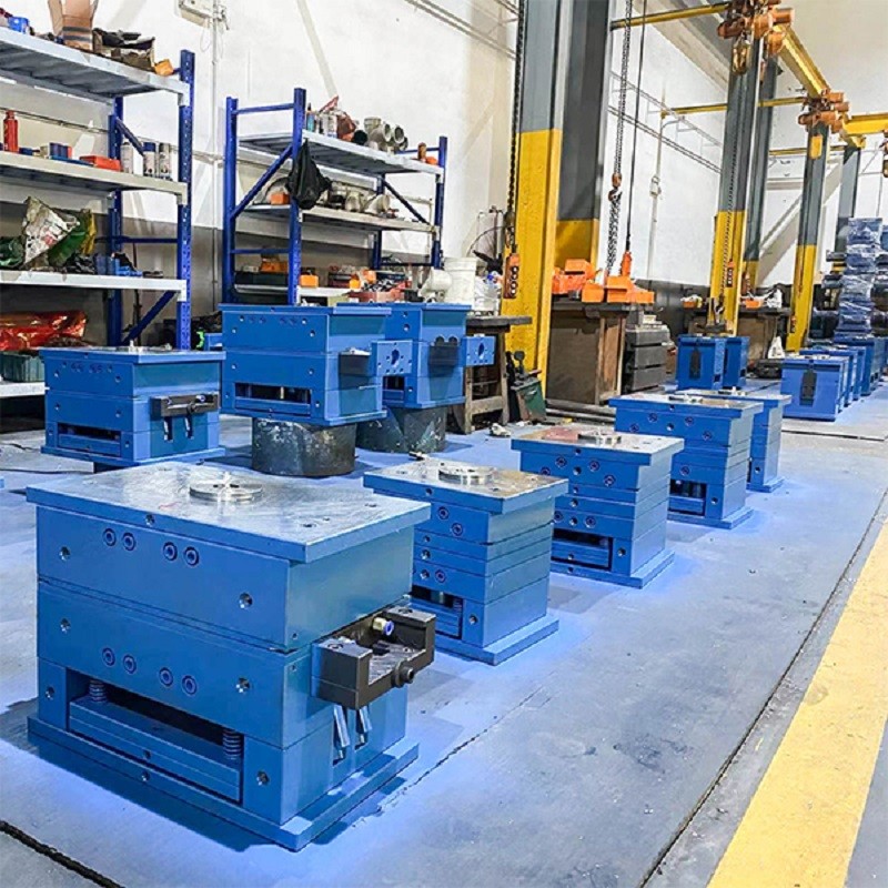 Pet Carrier Mold Manufacturer - PP Material Aviation Box Used