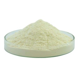 Whey Protein Manufacturer - OEM Fitness Supplement Powder