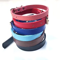 Pet Leash Manufacturer - Multi-specification Explosion-proof Stickers Training