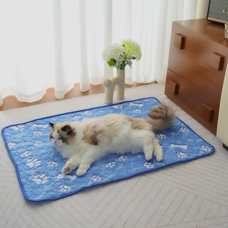 Pet Cooling Mat Supplier - Manufacturer Wholesale Summer Color Box for Dogs