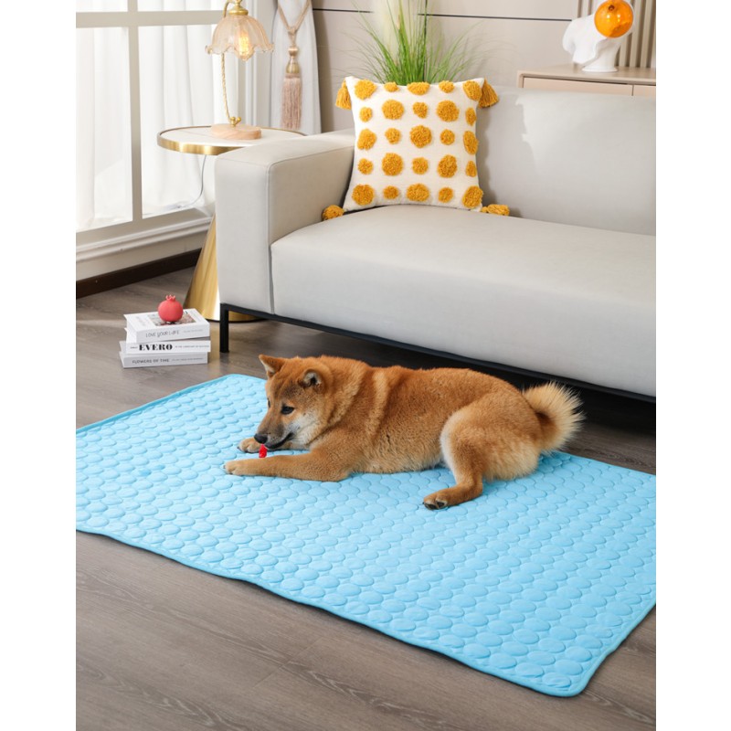 Pet Cooling Mat Supplier - Manufacturer Wholesale Summer Color Box for Dogs