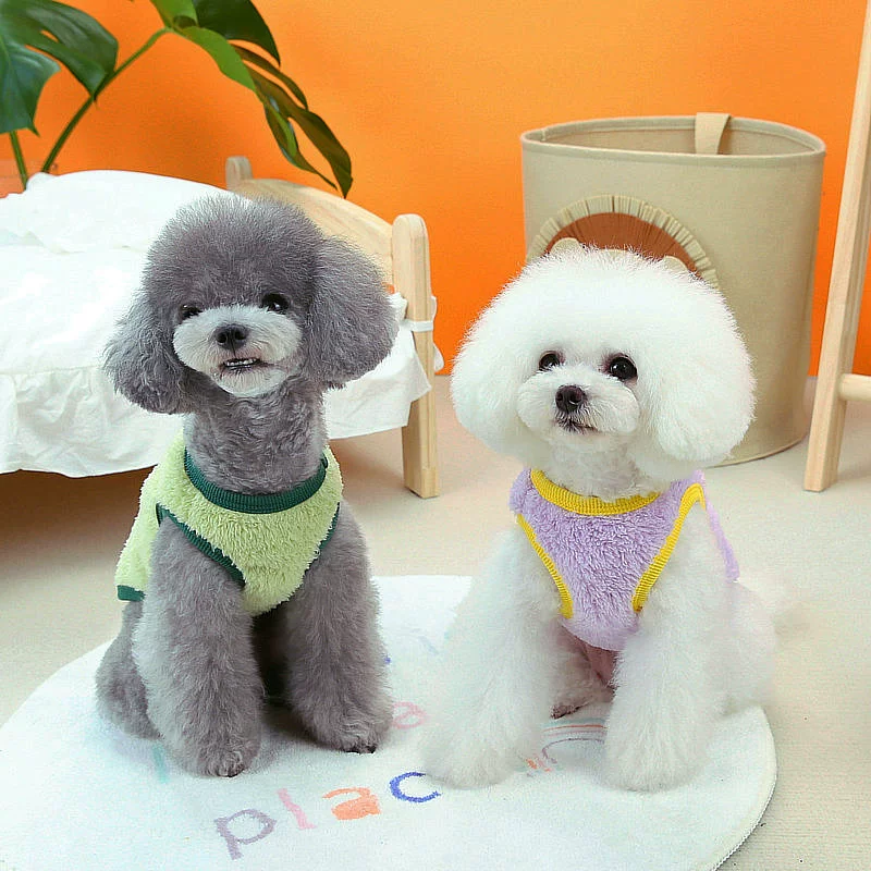 Pet Costume Factory - Christmas Halloween Funny Cosplay Pirate Party Cute