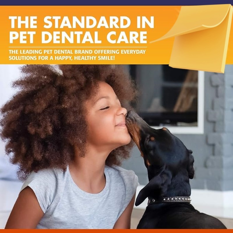 Pet Dental Water Factory - Wanzibei OEM Natural Clean