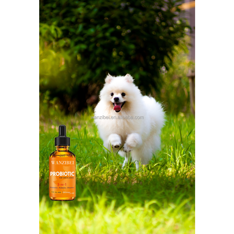 Probiotic Drops Supplier - Liquid Immune Gut Health