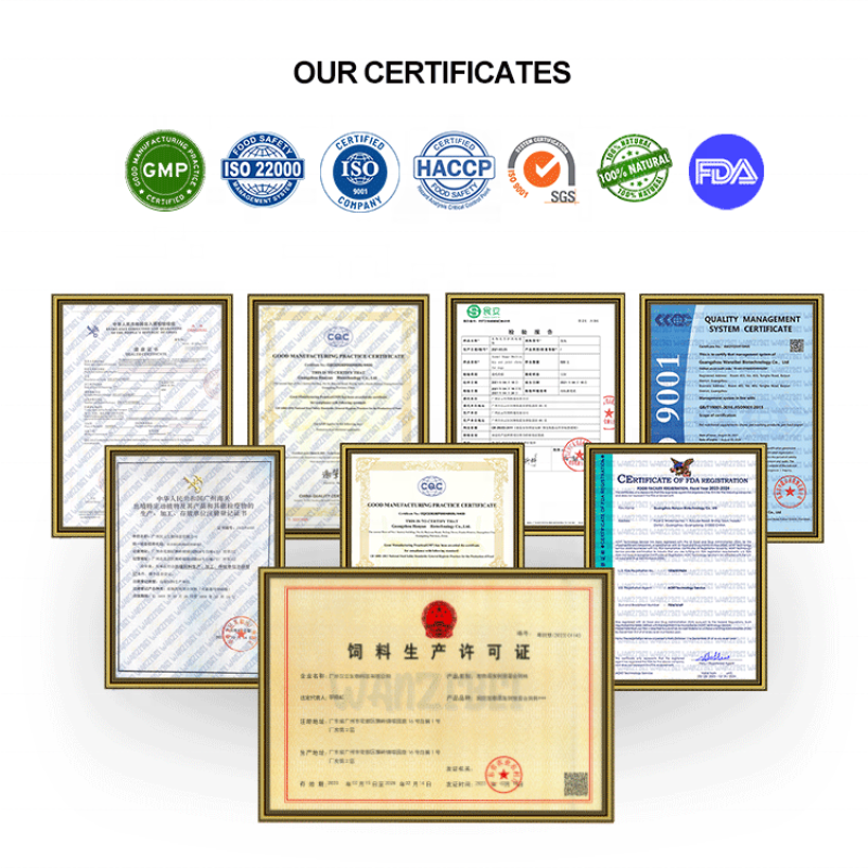 Cat Food Treats Manufacturer - OEM Factory Direct High Protein