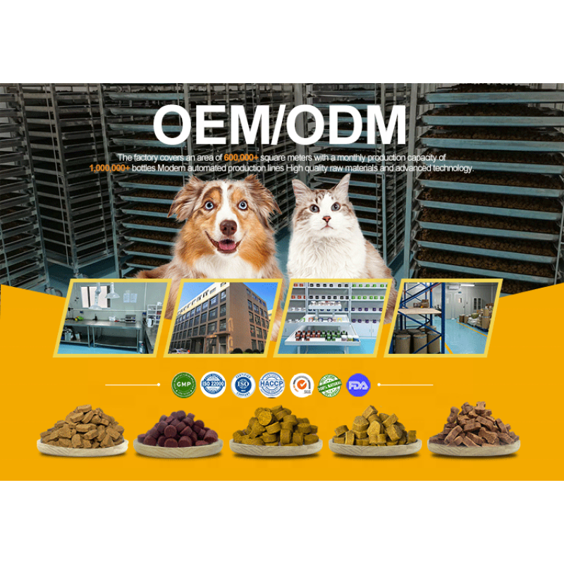 Pet Multivitamin Chews Supplier - Wholesale Private Custom 50-in-1