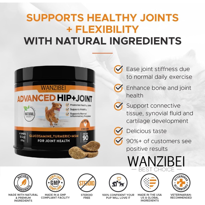 Hip Joint Chews for Dogs Factory - MSM Mobility Support 170ct