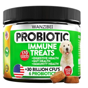 Dog Probiotics Chews Factory - All-Natural Prebiotics Pumpkin