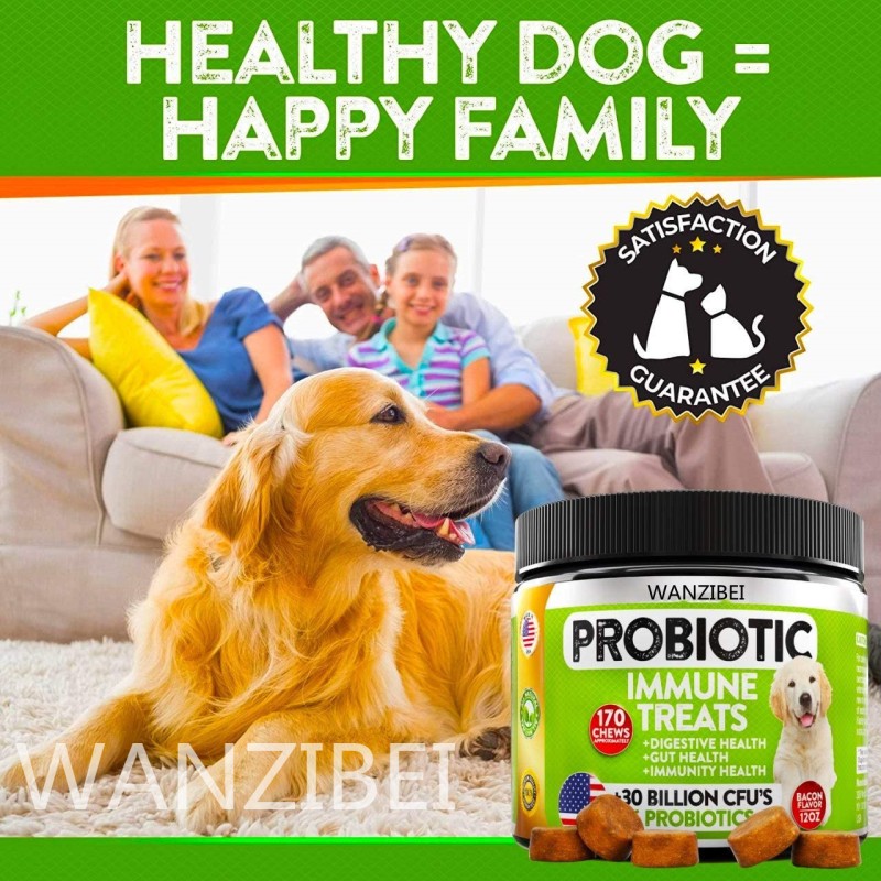 Dog Probiotics Chews Factory - All-Natural Prebiotics Pumpkin