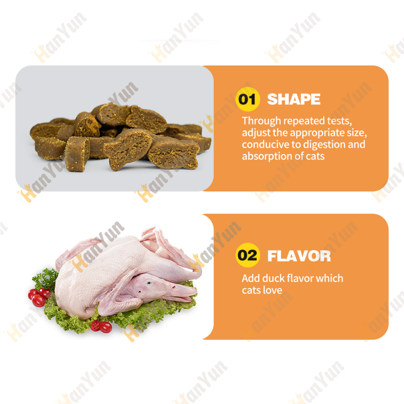 Dry Pet Cat Food Manufacturer - High Quality Natural Chicken