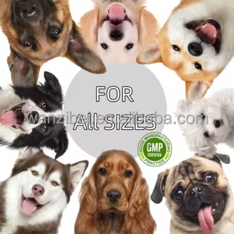 Dental Hygiene Tablets Manufacturer - OEM/ODM Fresh Breath