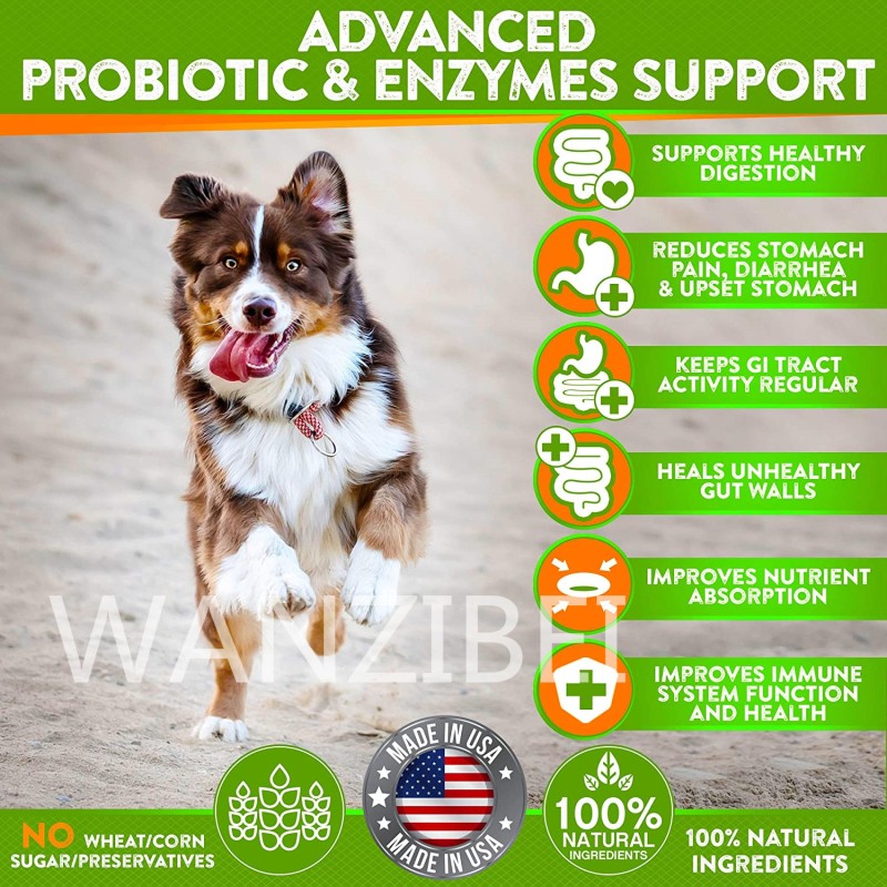 Dog Probiotics Chews Factory - All-Natural Prebiotics Pumpkin