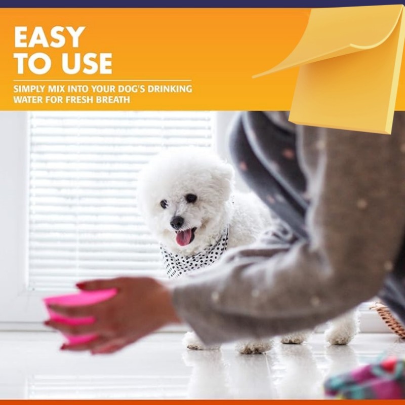 Pet Dental Water Factory - Wanzibei OEM Natural Clean