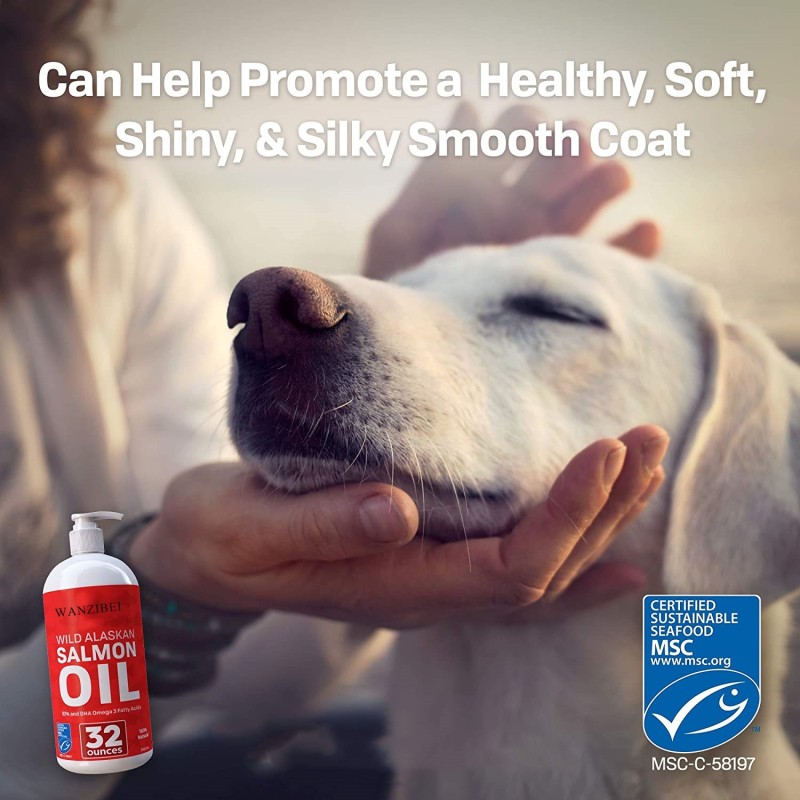 Salmon Oil Manufacturer - WANZIBEI Pure Wild Alaskan Joint