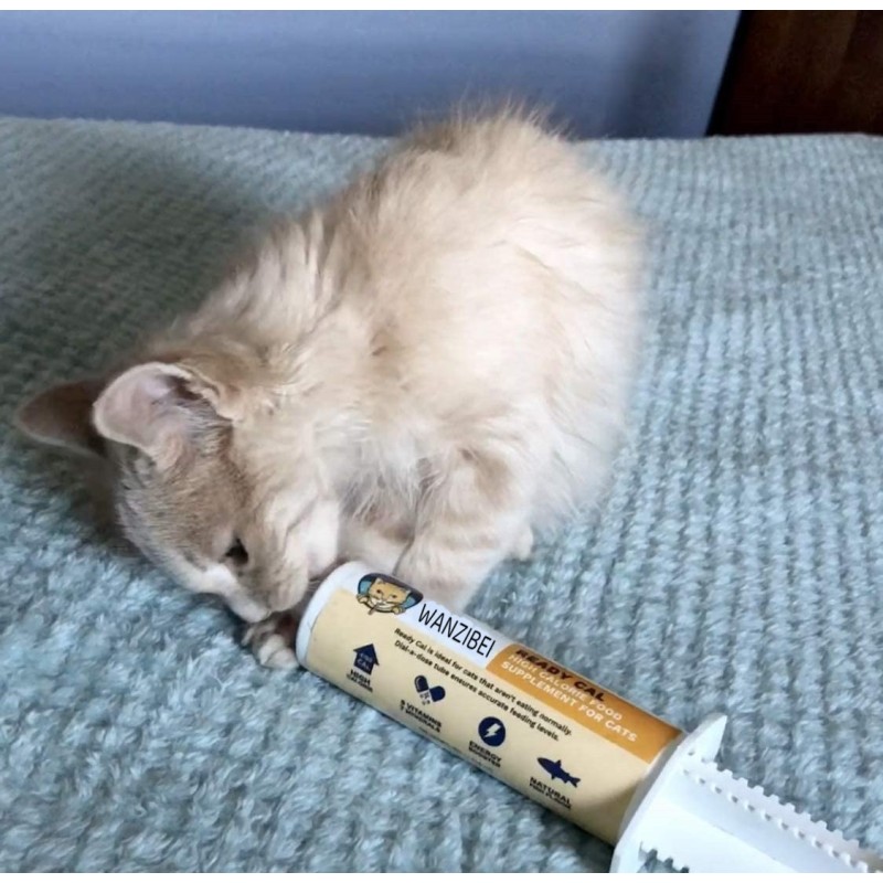 Pet Nutrition Gel Factory - WANZIBEI High Calorie Immunity