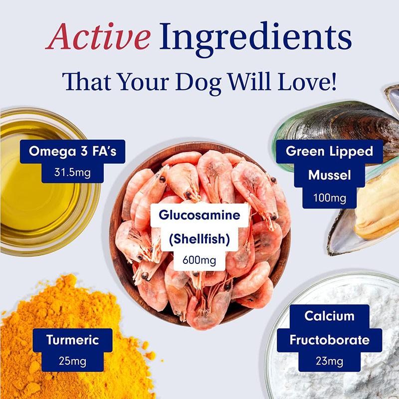 Pet Joint Supplement Supplier - Glucosamine Chondroitin MSM Mobility Support