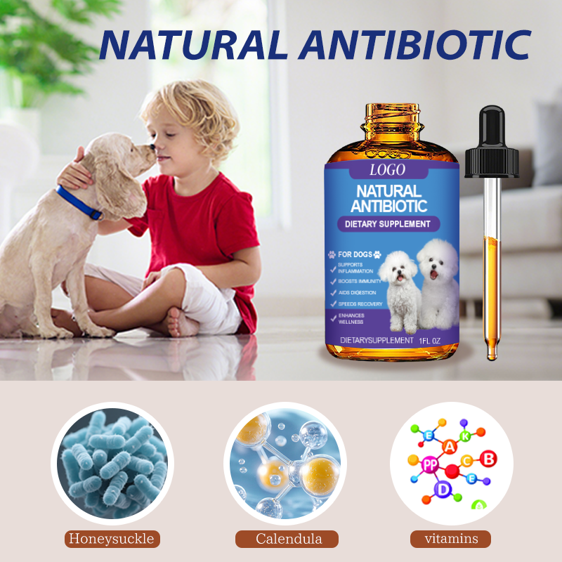 Dog Antibiotic Supplement Factory - Natural Herbal Care Cough Allergy Immune