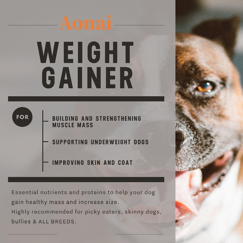 Pet Muscle Supplement Supplier - Private Logo High Protein Powder Muscle Gain