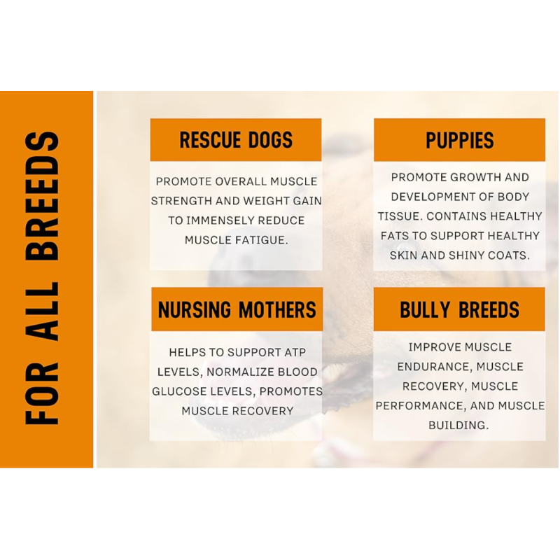 Pet Muscle Supplement Supplier - Private Logo High Protein Powder Muscle Gain