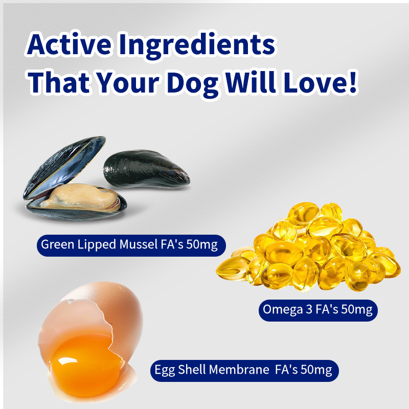 Dog Multivitamin Chews Factory - OEM Hip Joint Supplement Private Label